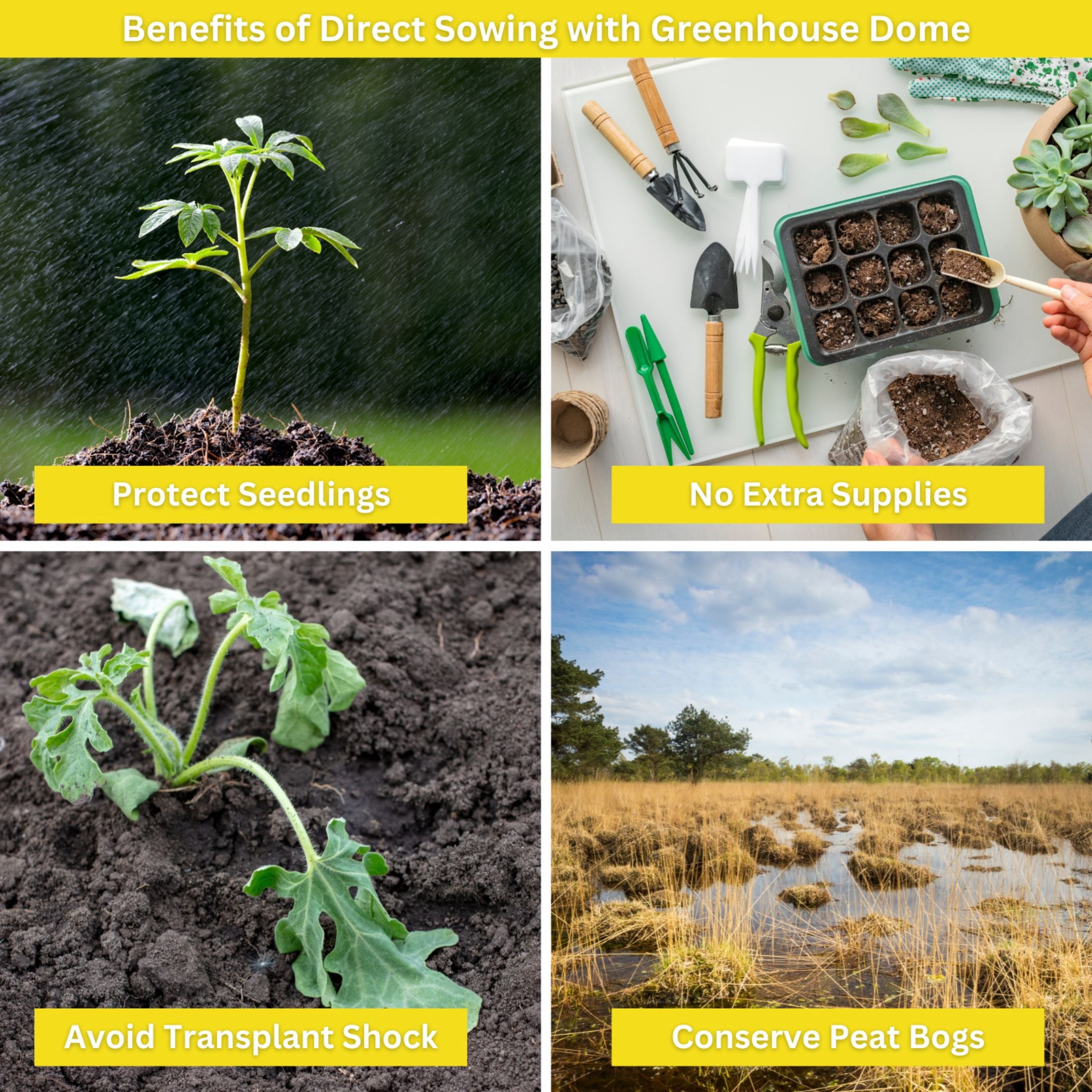 Rooted Promise Butterfly Garden Kit Kids Flower and Herb Seed Starter Kit with Grow Rings and Greenhouse Domes 2 Pack