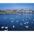 thumbnail image 2 of Galway  County Galway  Ireland Poster Print, 2 of 2