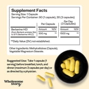 Wholesome Story 1500mg Berberine Supplement for Hormonal Balance & Metabolic Health, 90 Capsules