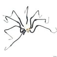 thumbnail image 3 of 47" Large Skull Spider, 3 of 3