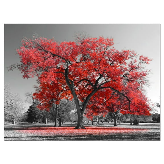 Designart 'Big Red Tree on Foggy Day ' Landscape Canvas Art Print