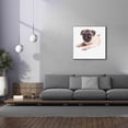 thumbnail image 4 of Epic Graffiti 'Cute Pug Puppy' by Edward M. Fielding, Giclee Canvas Wall Art, 37"x37", 4 of 8