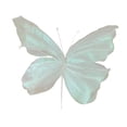 thumbnail image 5 of HOMYL Butterfly Decoration Realistic Butterflies Prop for Party Photography Adults Colorful white, 5 of 8