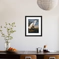 thumbnail image 6 of Audubon: Egret, Animals Framed Art Print Wall Art by John James Audubon Sold by Art.Com, 6 of 6
