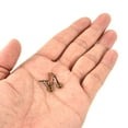 thumbnail image 5 of 2.75mm Iron Fishing Rod Guide Repair Kit Eyelet Replacement, Golden 8 Pack, 5 of 6