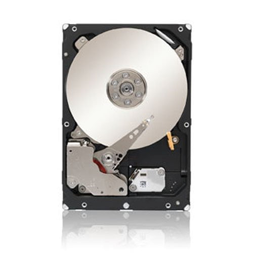 Seagate 1TB Enterprise Capacity HDD SATA 6Gb/s 128MB Cache 3.5-Inch Internal Bare Drive (ST1000NM0033)