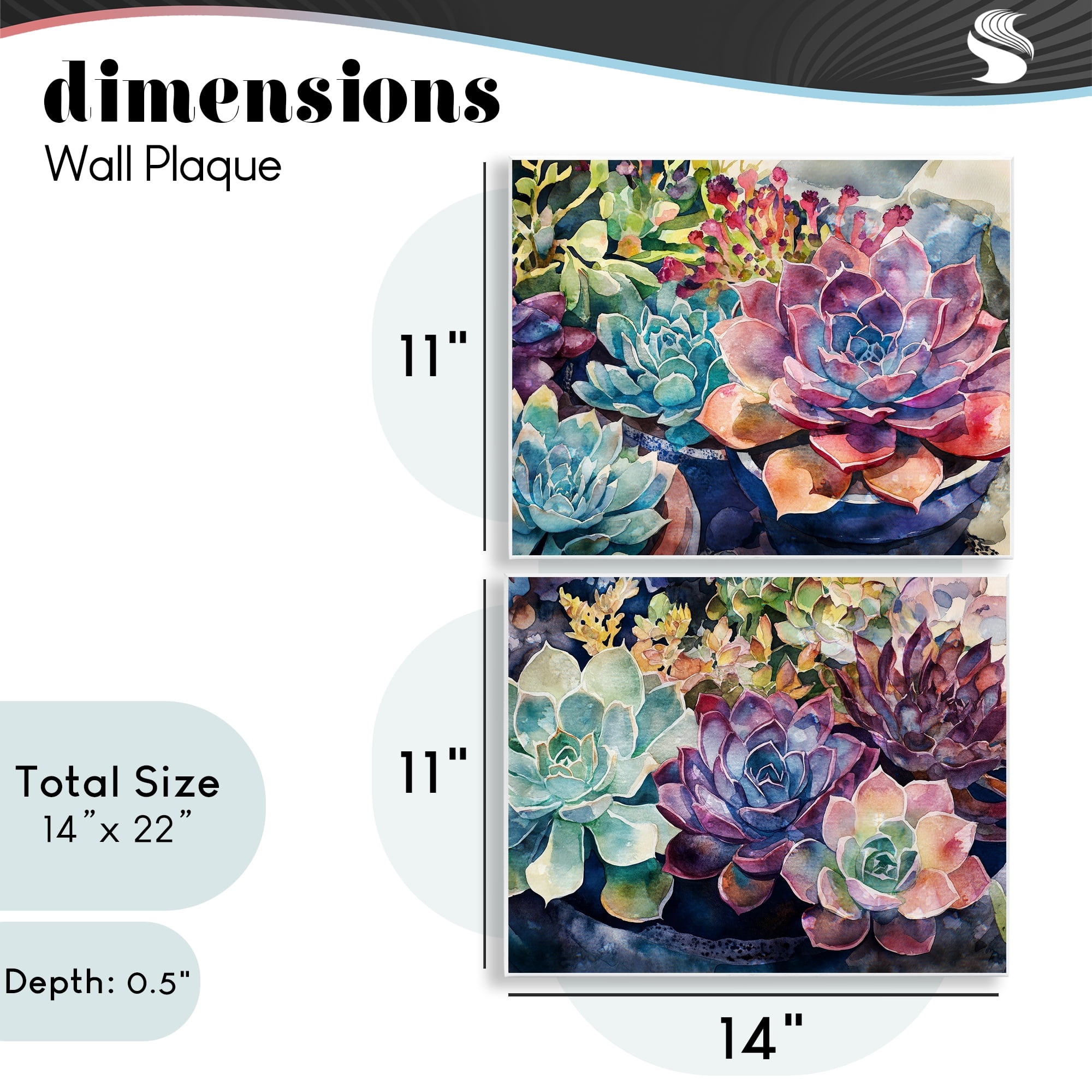 Stupell Industries Sunny Watercolor Succulents 2 Piece Wall Plaque Art Set, design by Svetlana Aleynikova