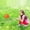 B, variant on Stainless Steel Telescopic Fishing Net Net Net Children's Toy Fishing Net Net Pocket Outdoor Toy Rice Net Mesh Net for Birds Hardware Net Netting Heavy Duty Garden Netting