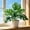 A, variant on PVC Green Artificial Monstera Deliciosa Bonsai 45cm Desktop Plant for Living Room Office Bedroom Decoration