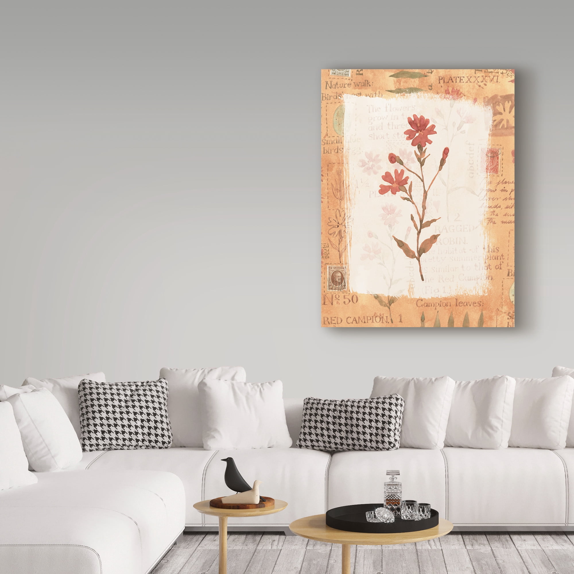 Trademark Fine Art 'Red Flower Rustic' Canvas Art by Hope Street Designs