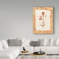 thumbnail image 3 of Trademark Fine Art 'Red Flower Rustic' Canvas Art by Hope Street Designs, 3 of 3