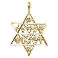 thumbnail image 1 of Pendentif en Or Jaune 14k 12 Tribus d'Israël Star of David, 1 of 1