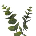thumbnail image 2 of Vickerman 6' Artificial Green Spiral Eucalyptus Garland, 2 of 5
