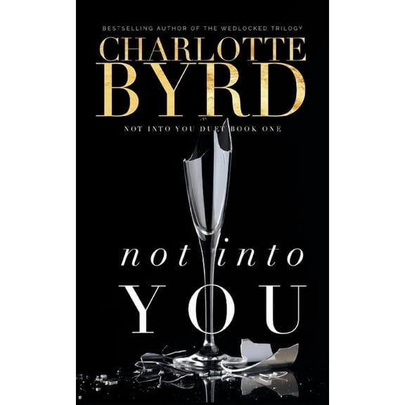 Not Into You: Not into you (Paperback)