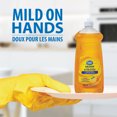 thumbnail image 3 of 828mL GREAT VALUE DETERGENT LIQUIDE POUR VAISELLE - PARFUM D'ORANGE, 3 of 4