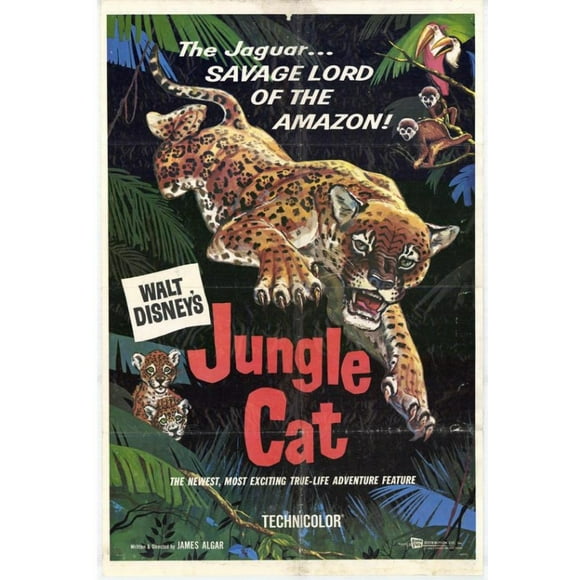Jungle Cat Movie Poster (11 x 17)