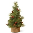 thumbnail image 2 of 18" Collection de Tous les Jours Pomme de Pin Miniature & Baies Tree en Toile de Jute, 2 of 5