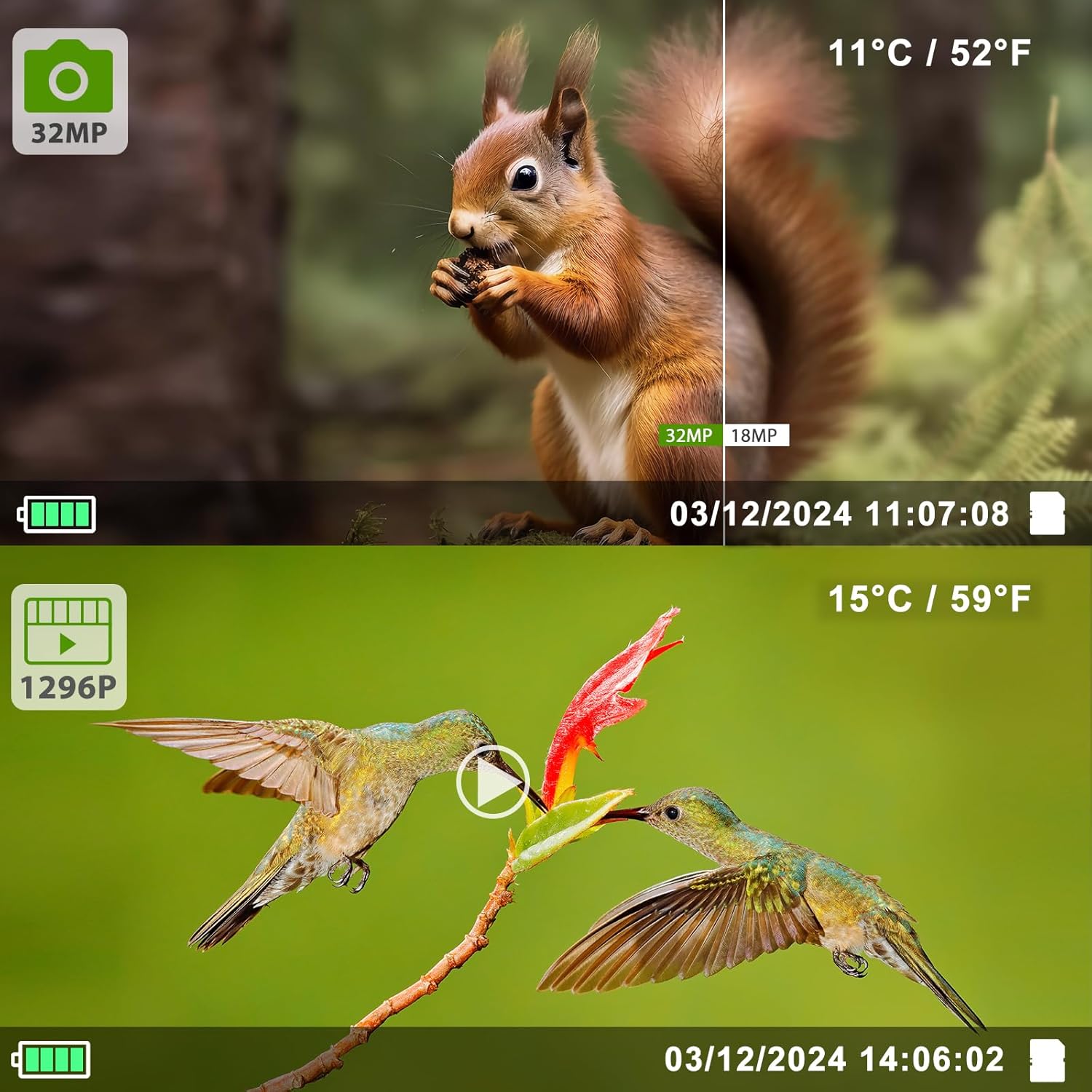 Trail Camera Game Hunting Cam 32MP Image 1296P Time Lapse Motion Activated Night Vision for Outdoor Security Wildlife Watching Obervation