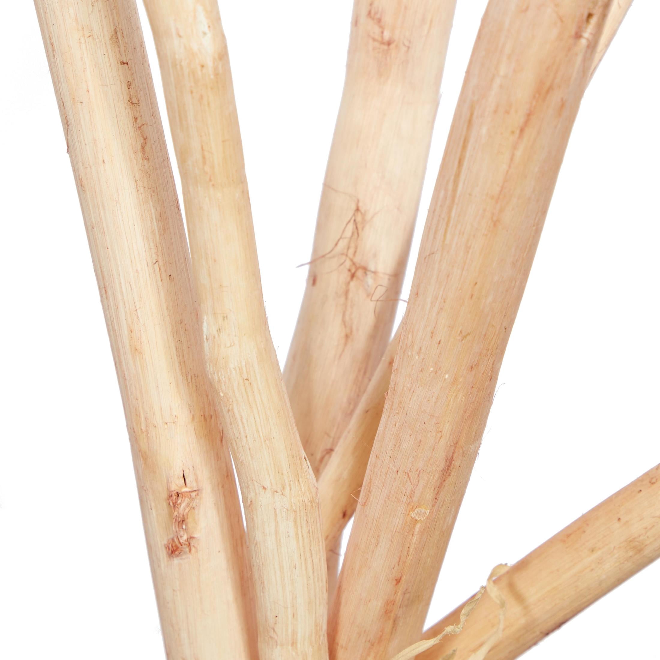60" Tall Sticks Dried Plant Natural Foliage Pampas Grass Bouquet, by DecMode (2 Count)