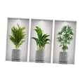 thumbnail image 2 of DimyFew 3-Piece Potted Plant Wall Stickers, 3D Plant Decor Stickers, Removable PVC, Waterproof, Easy Installation for Bedroom, Kitchen, Dining Room, Children& 45cmx23cm, 2 of 8