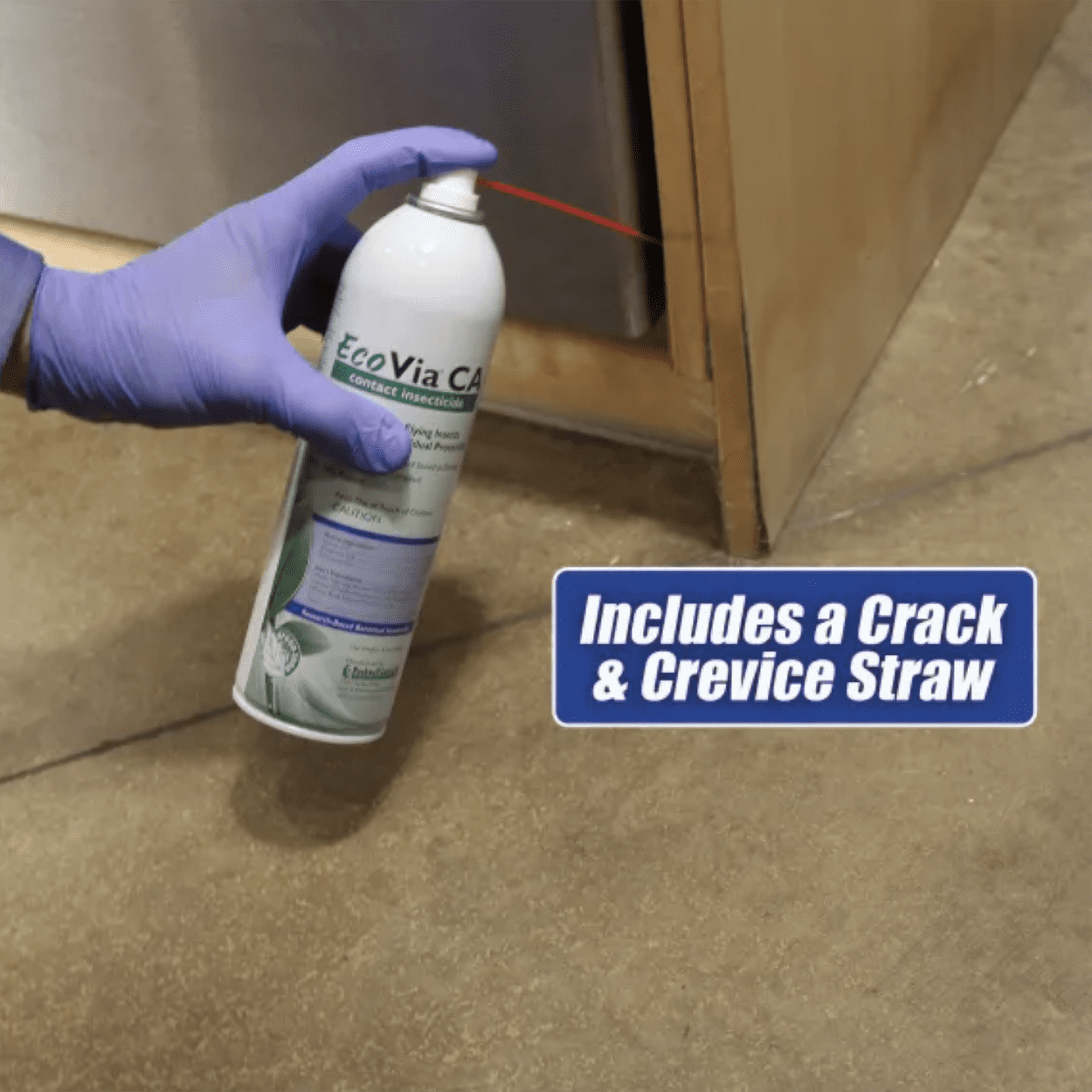 EcoVia CA Contact Insecticide Spray - 16 oz Aerosol Can by Rockwell Labs