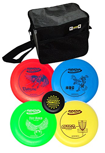 mini disc golf set