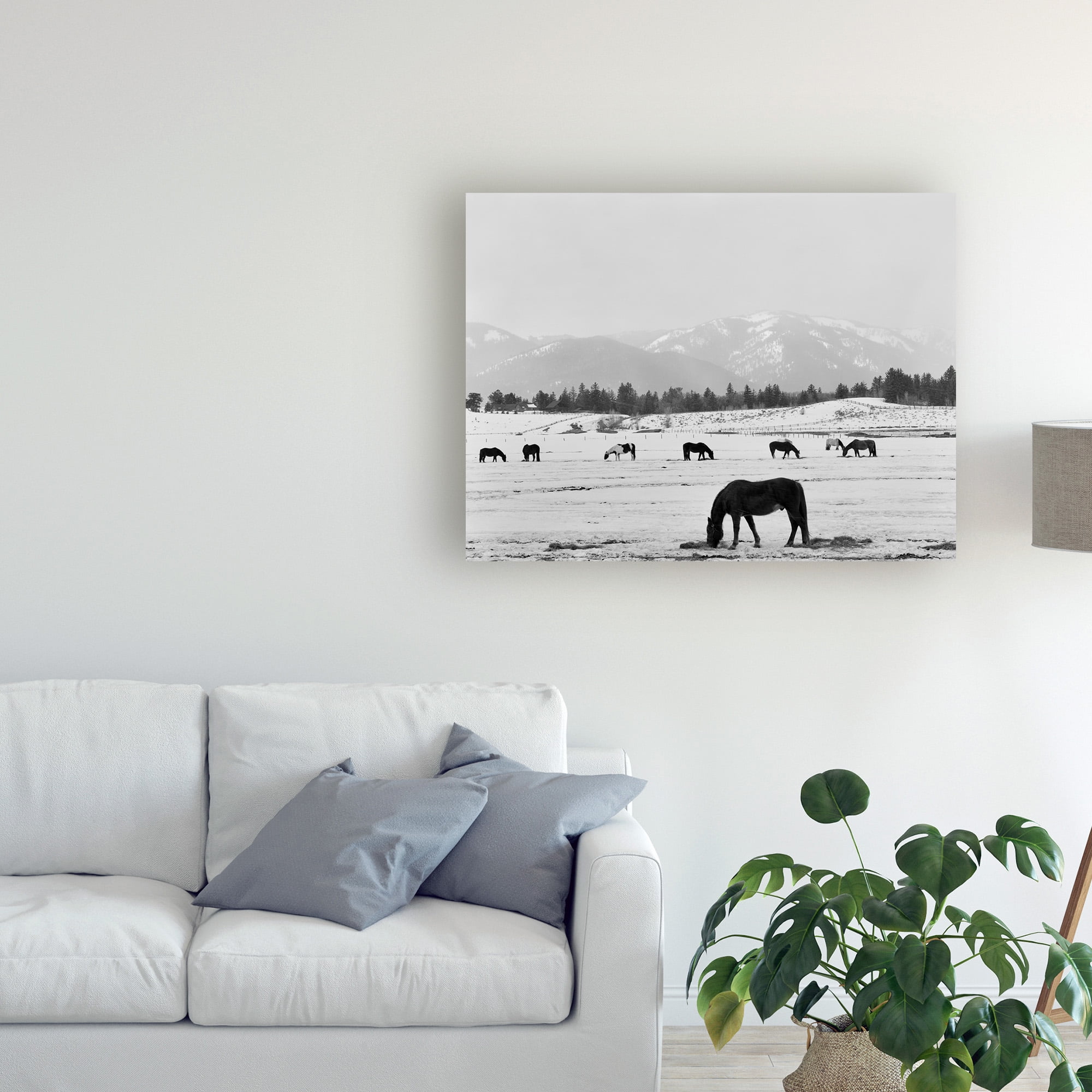 Monte Nagler 'Black Horse In Winters Mountains Wyoming' Canvas Art