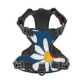 thumbnail image 4 of Lsque Daisies With Ladybugs Dog Harness, No-Pull Pet Harness with 2 Leash Clips, Adjustable Soft Padded Dog Vest with Easy Control Handle for Large Dogs-Large, 4 of 9