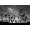 thumbnail image 3 of Berzel, Erin 18x13 Black Modern Framed Museum Art Print Titled - Sunset Silhouette II, 3 of 5