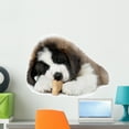 thumbnail image 1 of Saint Bernard Puppy Enjoying Wall Decal by Wallmonkeys Peel and Stick Graphic (24 in W x 16 in H) WM221095, 1 of 4