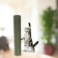thumbnail image 4 of ziyahi Cat scratching posts Replacement Sisal Rope Playing Scratch Post Refill Pole green 38cmx7cm, 4 of 9