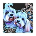 thumbnail image 3 of Maltese Rococo Splendor - Canvas, 3 of 25