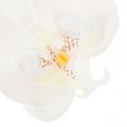 thumbnail image 3 of SWETRACE 5Ud Cabezas De Flores Falsas De Para Arreglos Y Manualidades, 3 of 8