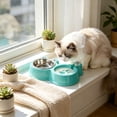 thumbnail image 6 of 2 in 1 Pet Food Water Bowl Stainless Steel, Non Slip Double Bowls Automatic Gravity Water Dispenser, Detachable Easy Clean Anti Spill Tray for Dogs Cats Small Medium Pets, 6 of 6