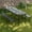 Black, variant on BETISEF Picnic Table Set with 2 Benches,6 Feet Folding Camping Table Chair Set with Wood Grain Tabletop ,3-Piece Outdoor Indoor Portable Folding Furniture for Party, Camping, Picnic, Weddings