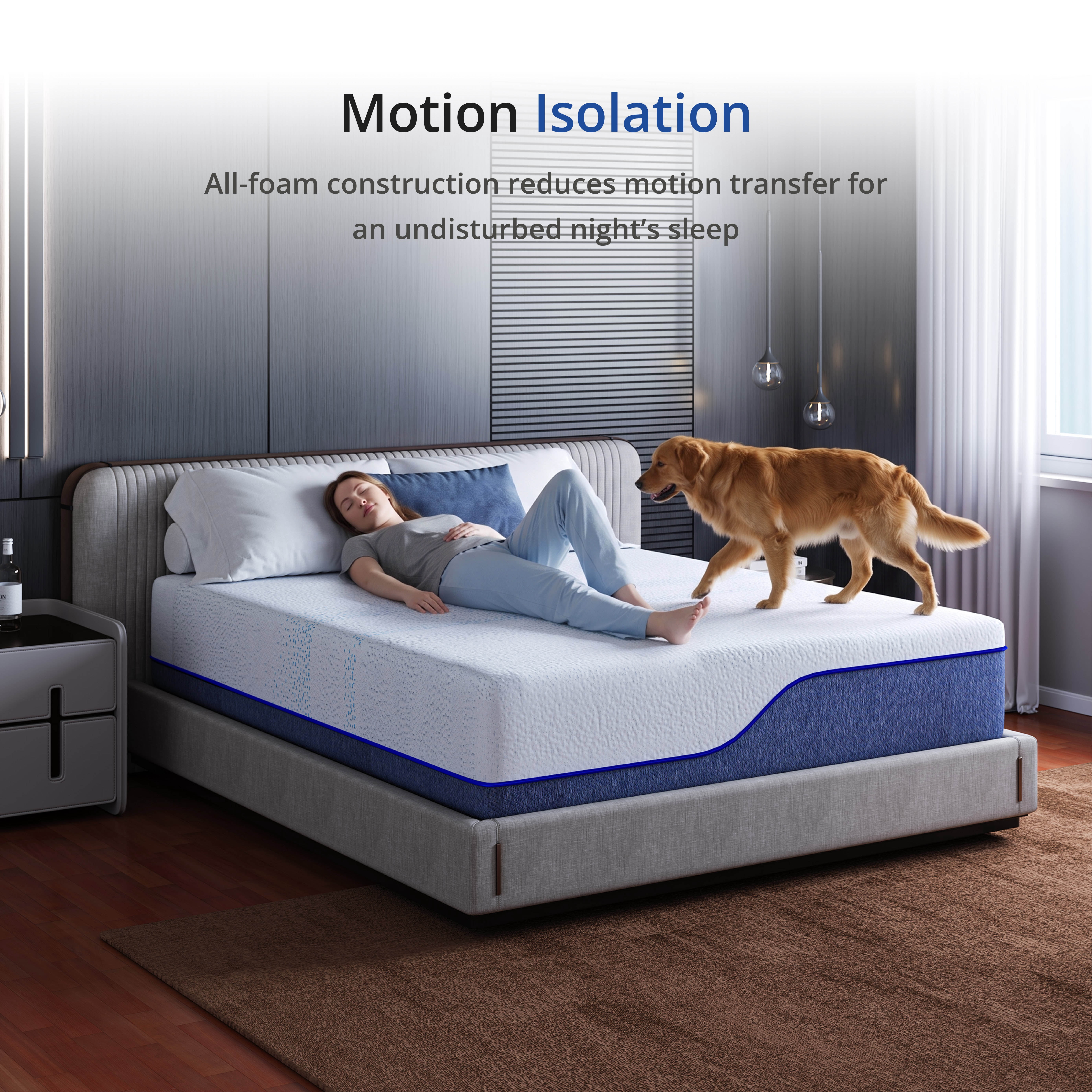 EGOHOME Essence Sleep 14” Twin, Medium Firm, Tight Top, Memory Foam Mattress in a Box
