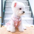 thumbnail image 2 of TELOLY Dog Harness Dress with D Ring Rabbit Patch Lace Princess Puppy Dress Skirt Fall Winter Thick Corduroy Holiday Pet Clothes Dresses for Small Dogs Girl Cat Outfit - M, 2 of 7