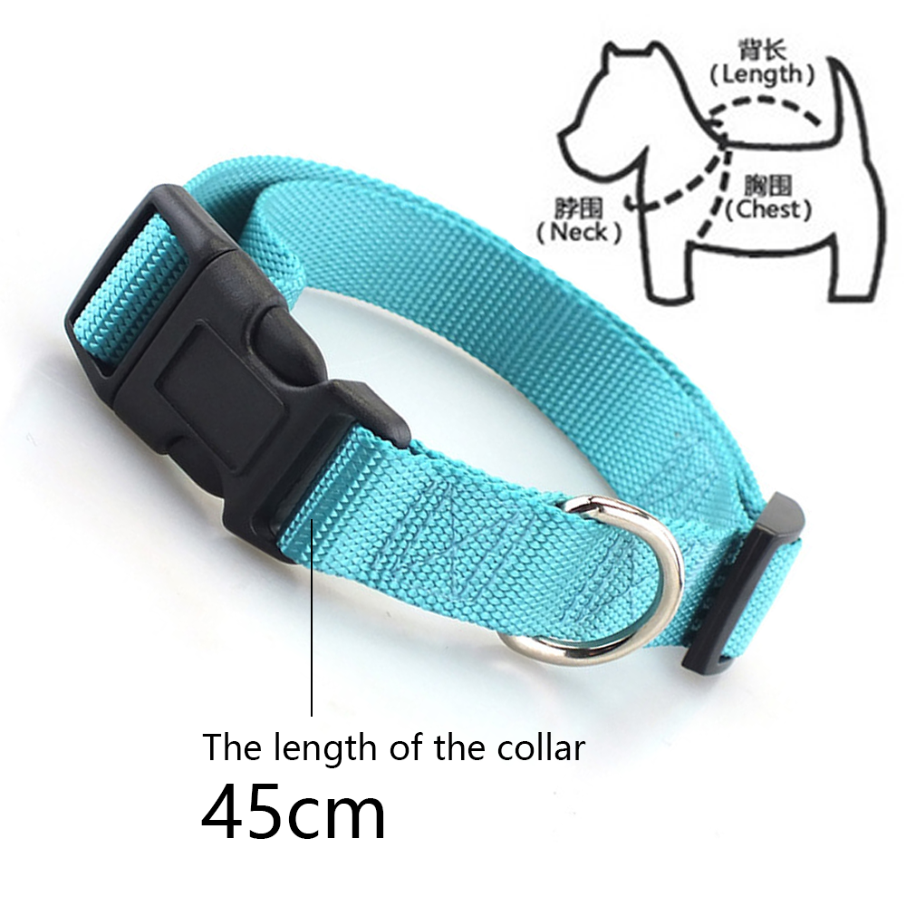 Carhartt Pet Fully Adjustable Webbing Collars for Dogs, Reflective Stitching for Visibility - image 2 of 5