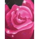 thumbnail image 4 of Camiseta Talla Extra Estampado Rosa Curvo Rosegal Camisetas tallas grandes, 4 of 5