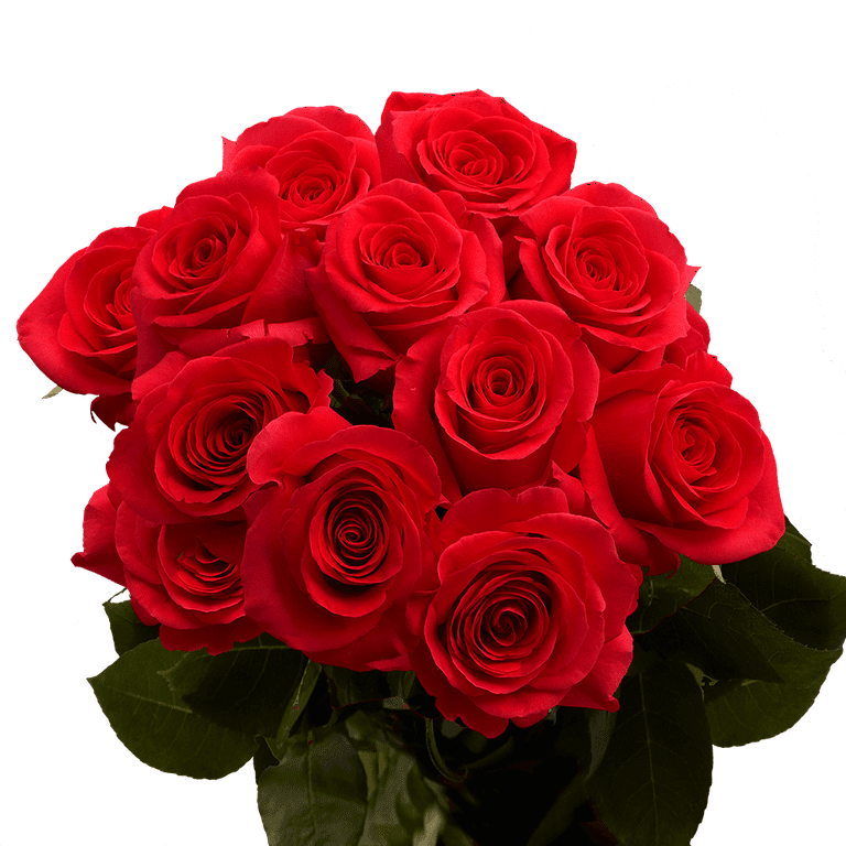 Bag of Fresh Red Rose Petals