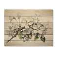 thumbnail image 3 of Designart "Apple Blossom Monochromatic gracefulness XXVIII" Apple Blossom Print on Natural Pine Wood, 3 of 5