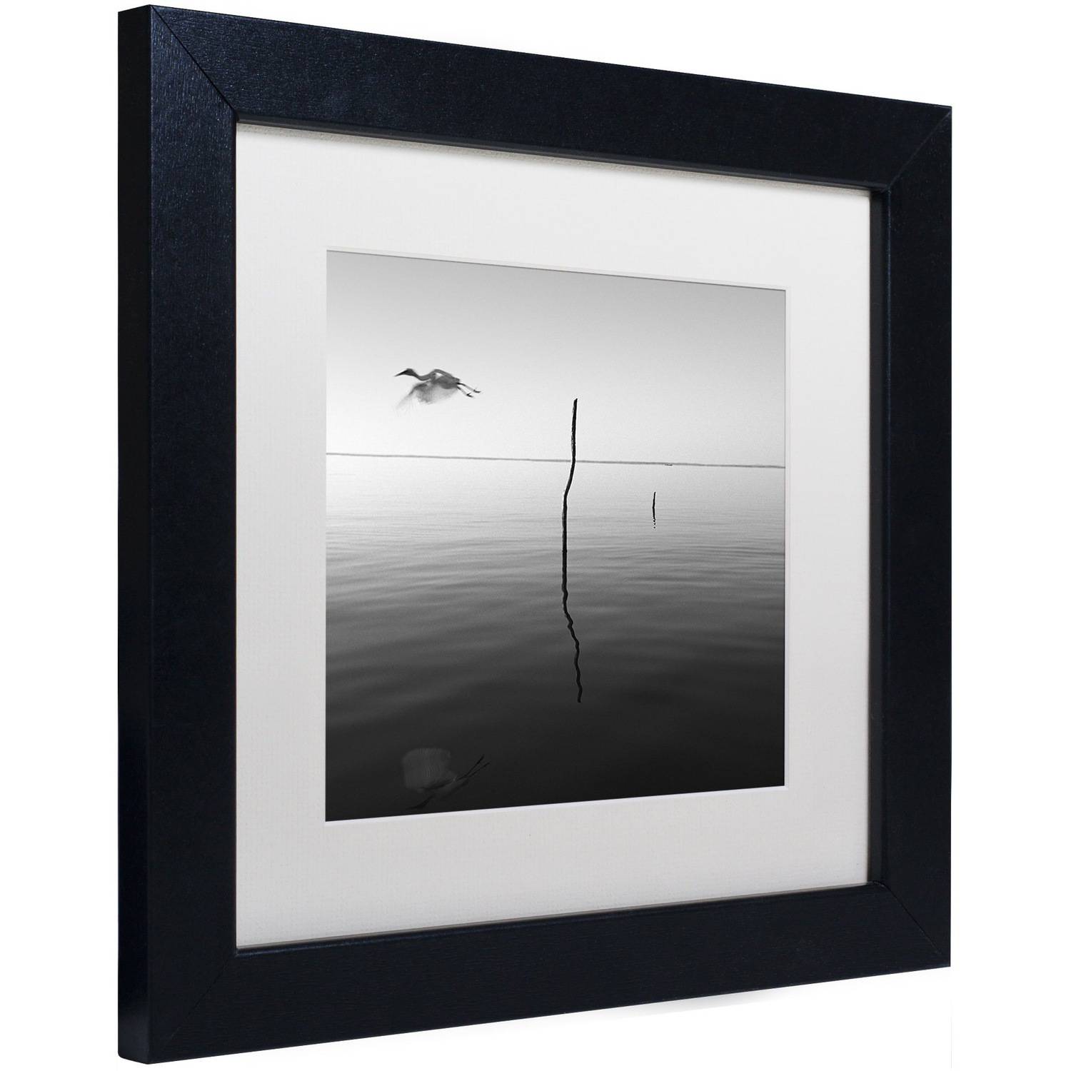 Trademark Fine Art "Fly" Canvas Art by Moises Levy White Matte, Black Frame