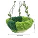 thumbnail image 3 of Cama Para Loros Cómoda Y Suave De Felpa Coralina Para Que Los Pájaros Duerman Colgada Jaula Verde, 3 of 5