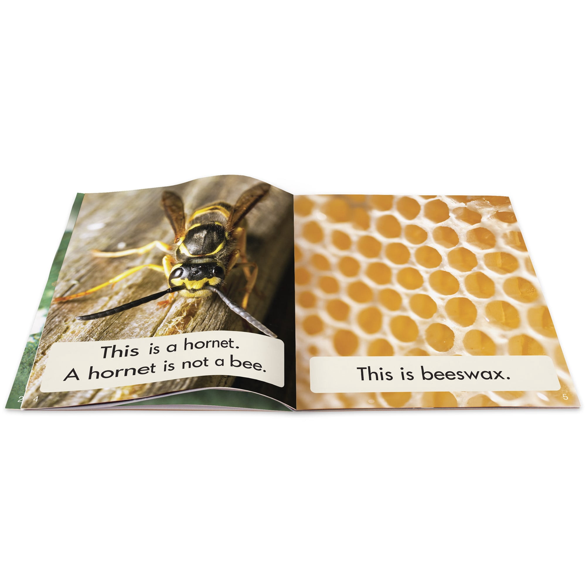 Junior Learning Science Decodables Phase 3 Non-Fiction Educational Learning Set