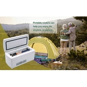 Global Care Market Portable Medicine Refrigerator and Insulin Cooler with Carrying Case, White, 1 Count