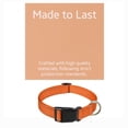 thumbnail image 6 of Stylish & Durable Adjustable, Reflective Dog Collars - Multiple Colors & Sizes Available - Small, 6 of 10