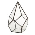 thumbnail image 2 of Geometric Glass Open Fern Succulent Plant Planter home and garden Flower Pot, 2 of 9