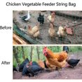 thumbnail image 4 of Chicken Vegetable Feeder String Bag - Cabbage Fruit Holder Hanging Skewer for Poultry Hens Goose Duck Cage, 4 of 7