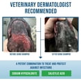 thumbnail image 6 of Command Deep Cleansing Odor Eliminator Medicated Shampoo for Dogs, 12 oz Bottle, 6 of 7