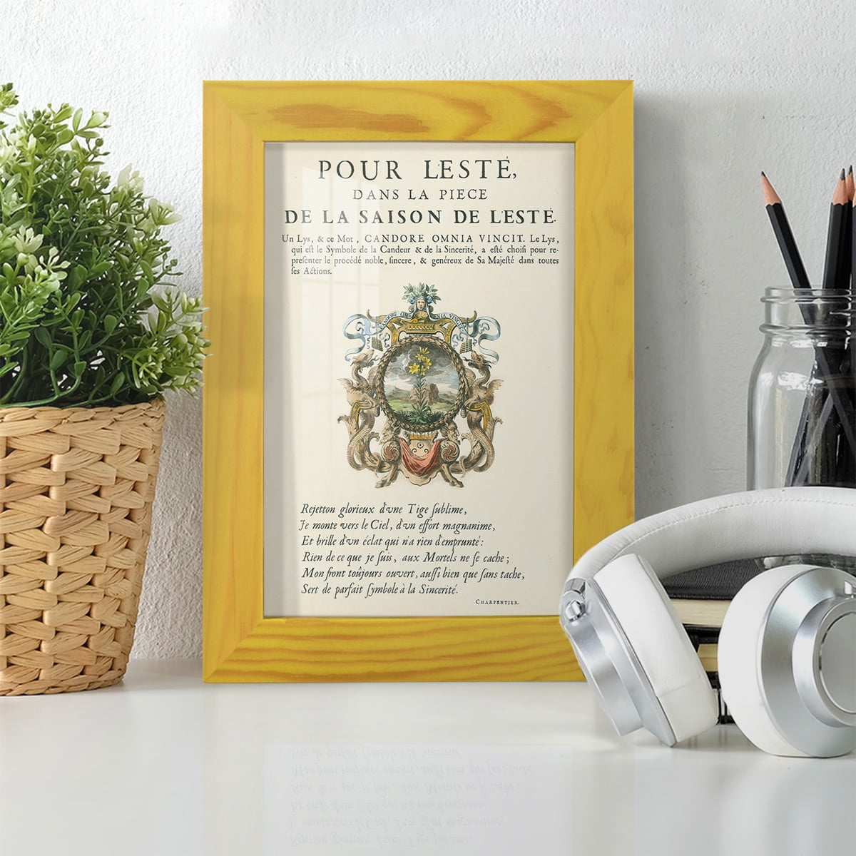 Printed Embellished Bookplate VI - Framed Print w/glass - Sunflower Yellow